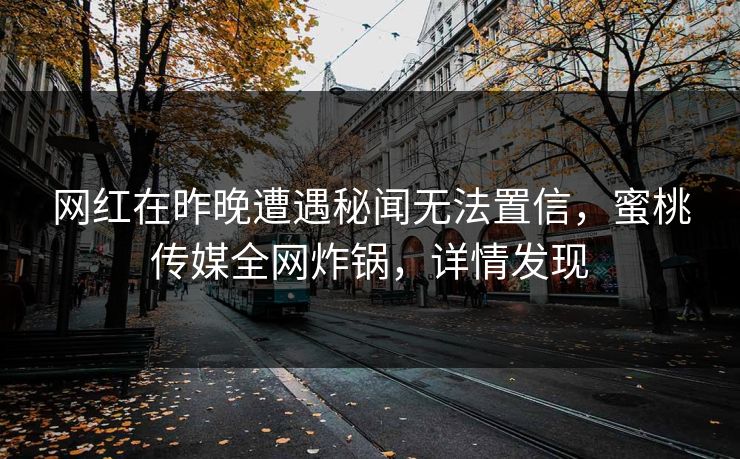 网红在昨晚遭遇秘闻无法置信，蜜桃传媒全网炸锅，详情发现