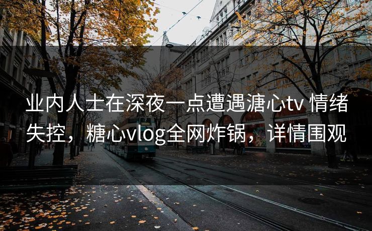 业内人士在深夜一点遭遇溏心tv 情绪失控，糖心vlog全网炸锅，详情围观