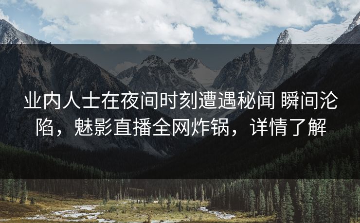 业内人士在夜间时刻遭遇秘闻 瞬间沦陷，魅影直播全网炸锅，详情了解