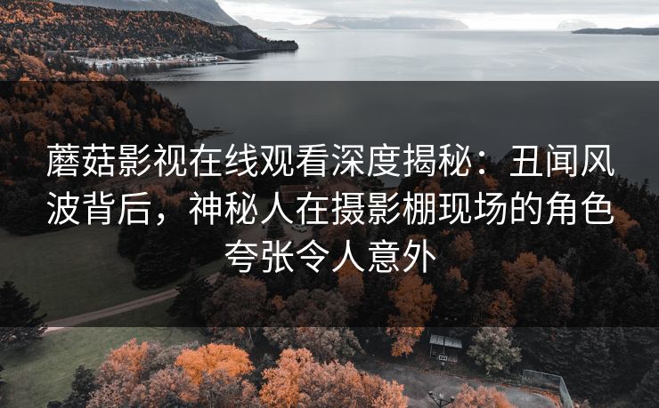 蘑菇影视在线观看深度揭秘：丑闻风波背后，神秘人在摄影棚现场的角色夸张令人意外